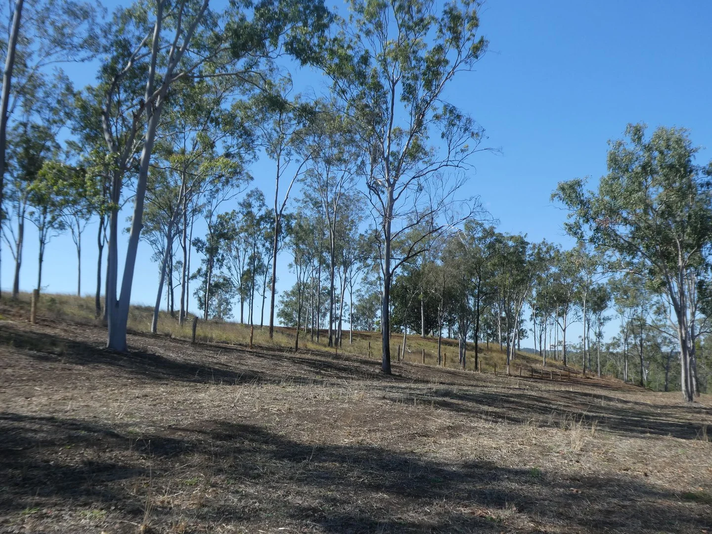 Additional image 6 of Lot 23 Walla Road, Morganville QLD 4671