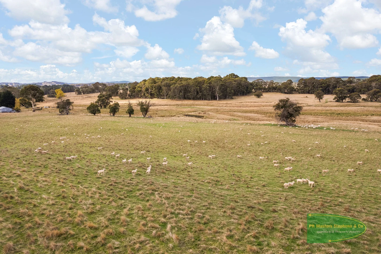 Additional image 36 of 800 Riverview Forest Road, Mozart NSW 2787