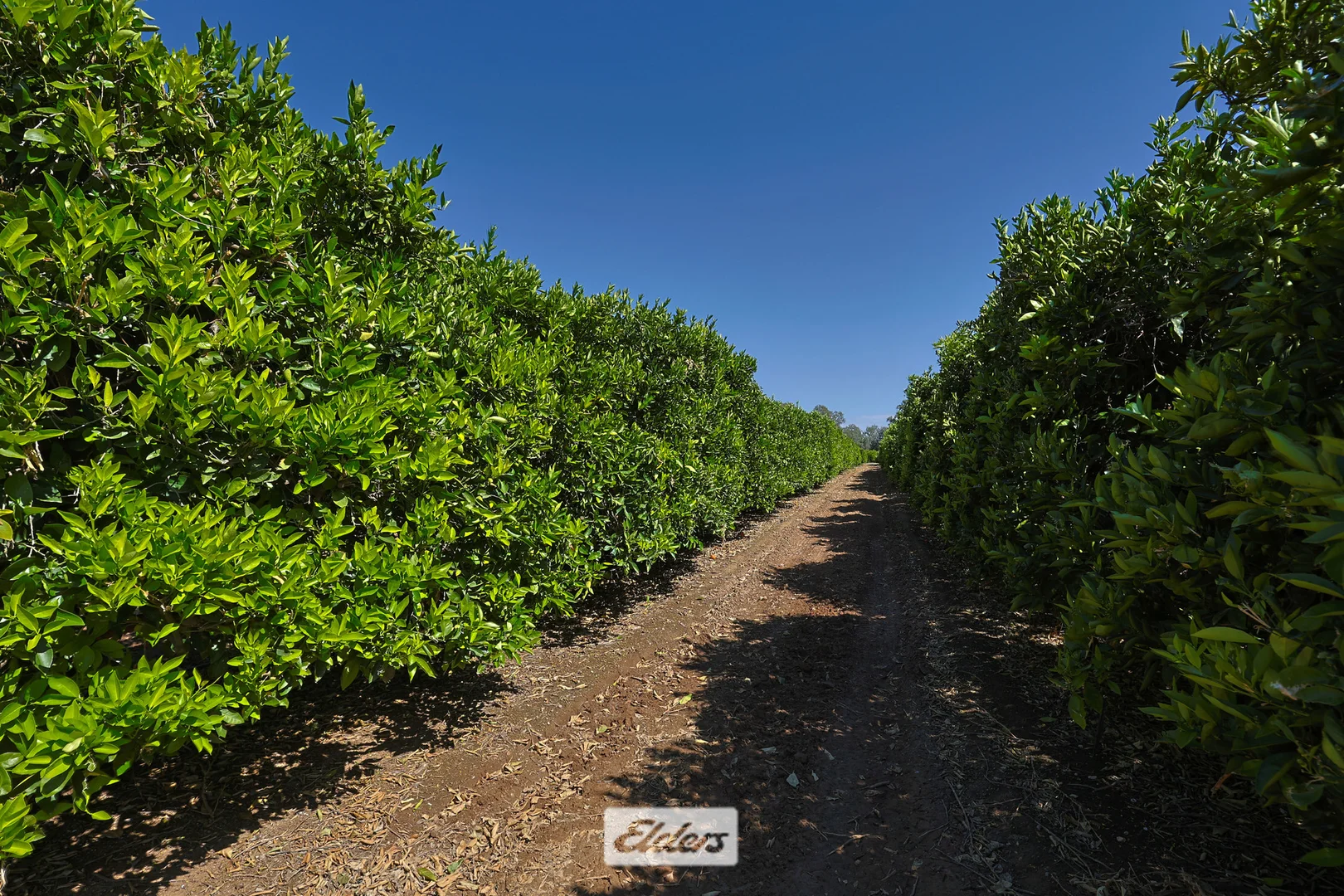 Additional image 10 of 310 Delta Road, Curlwaa NSW 2648