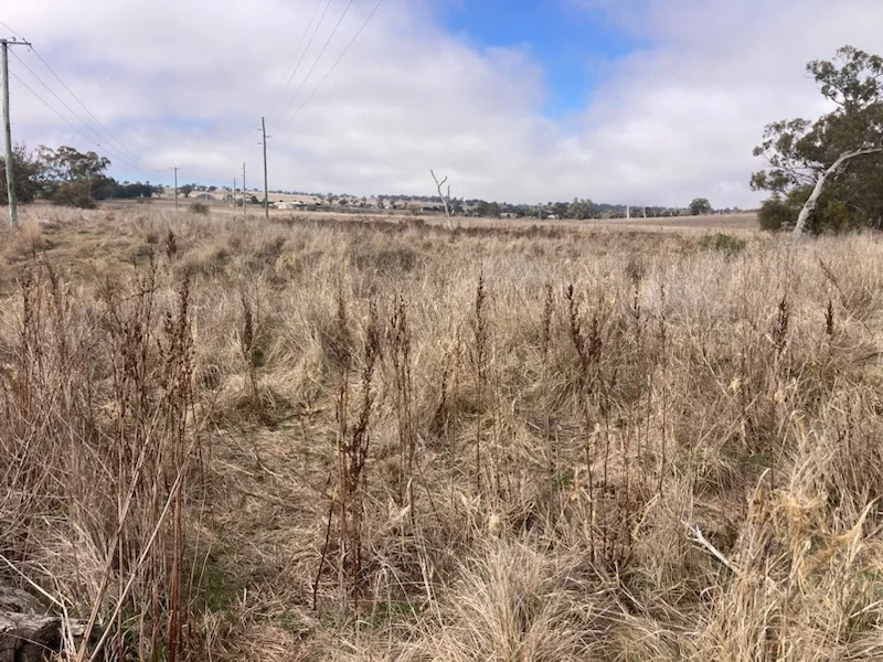 Additional image 2 of 1 , McRae Street, Merriwa NSW 2329