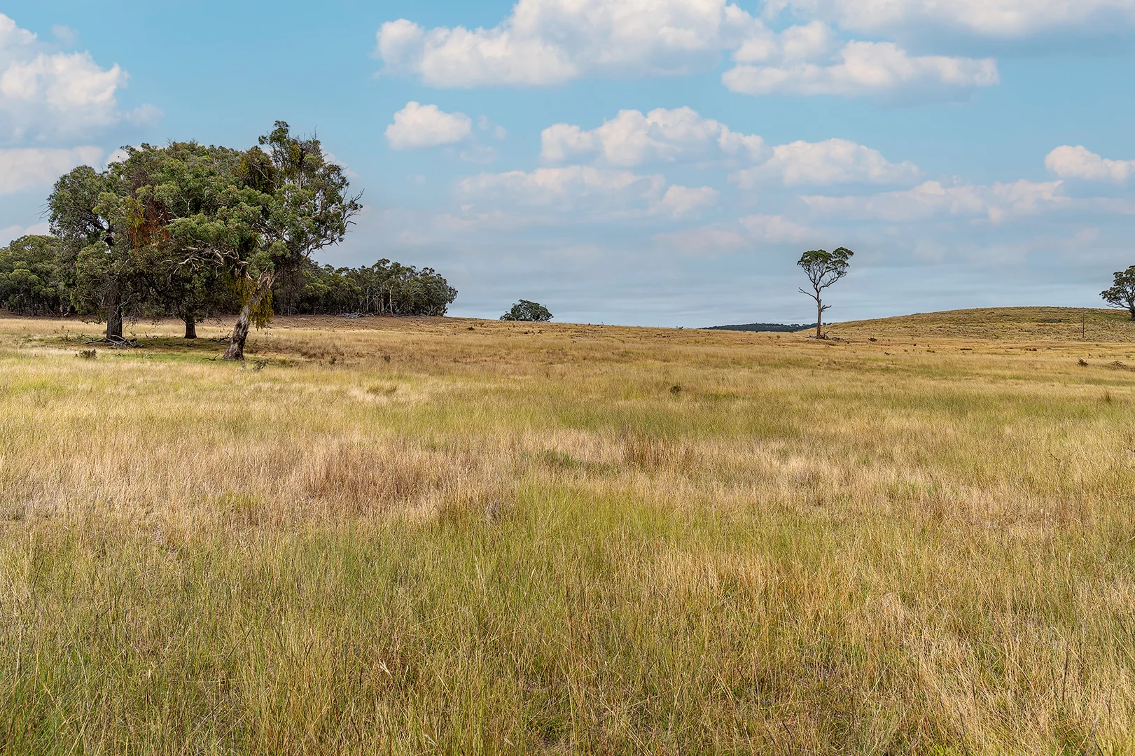 Additional image 17 of 60 Beechworth Road, Mudgee NSW 2850