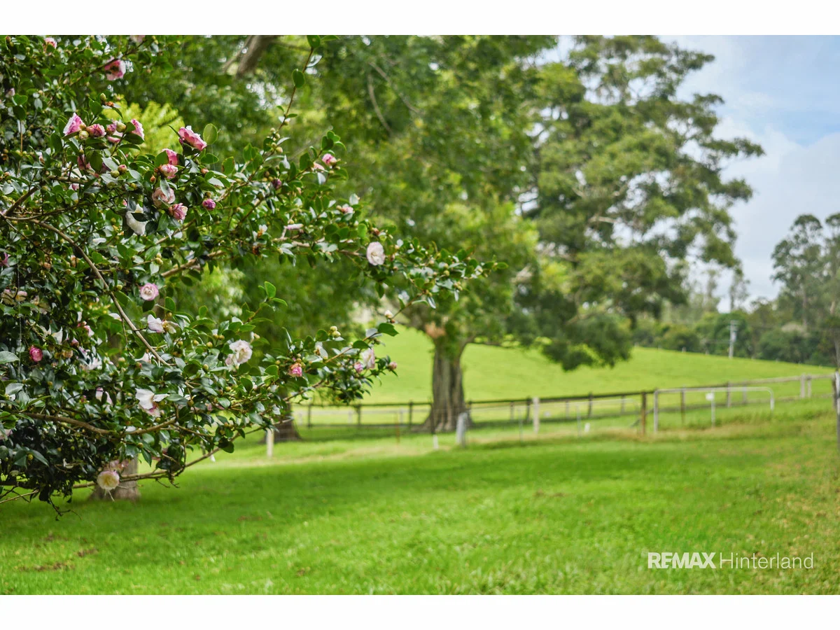 Additional image 13 of 200 Maleny-Kenilworth Road, Witta QLD 4552