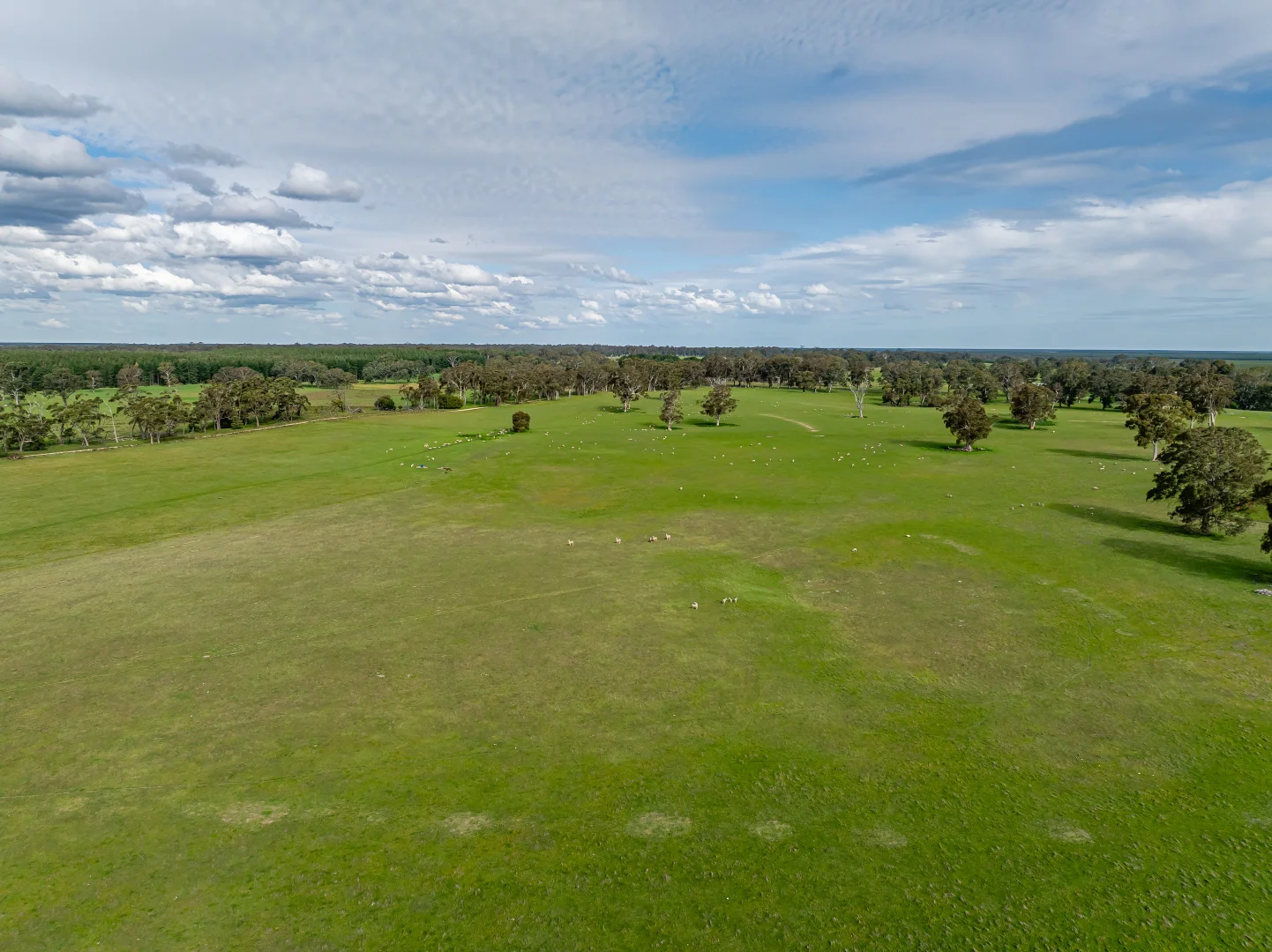 Additional image 21 of 219 Ockley Rd, Comaum SA 5277