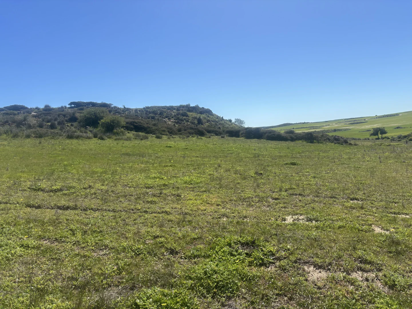 Additional image 8 of Lot 55 Ahern Place, Hickety WA 6532