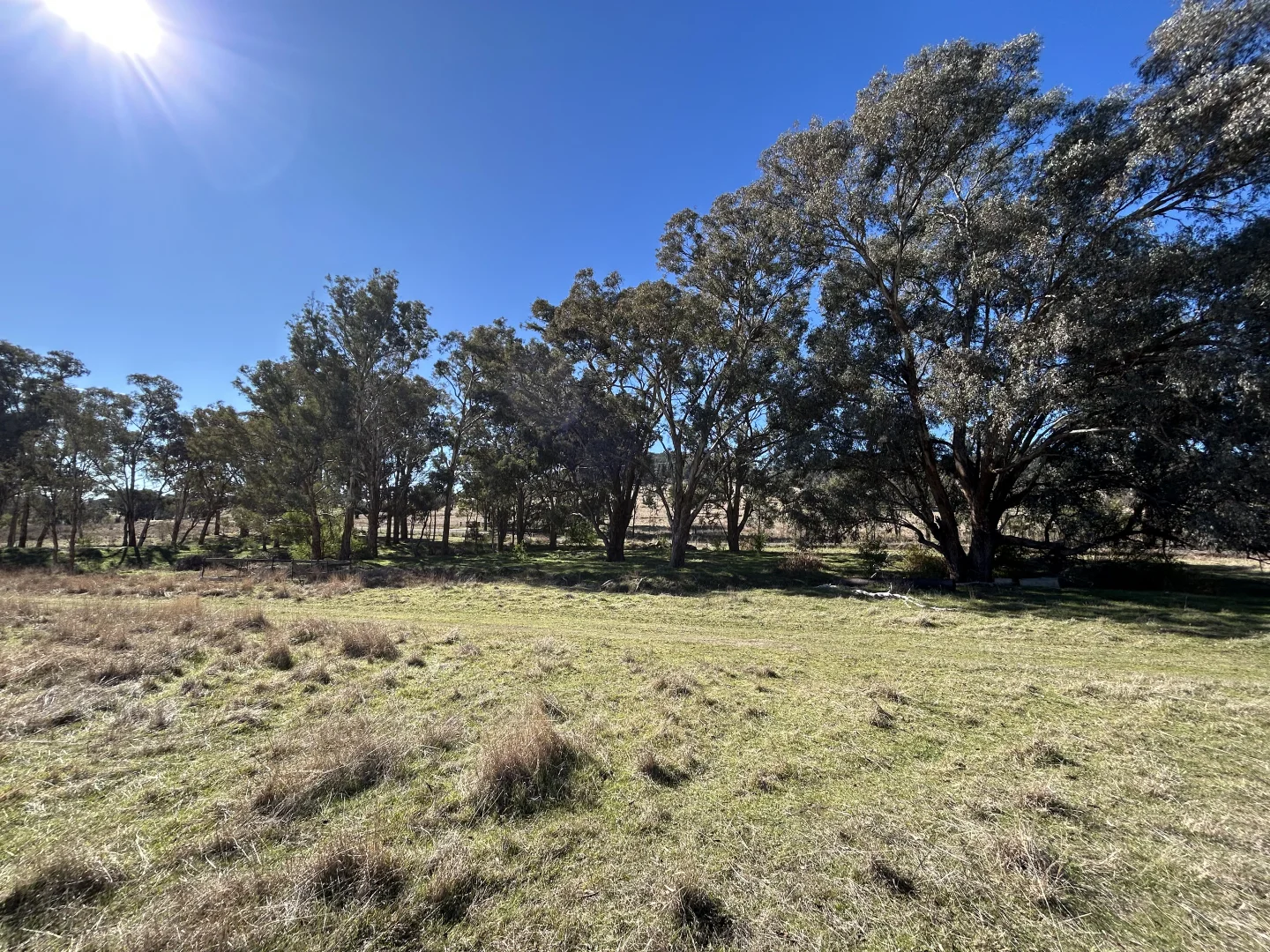 Additional image 19 of 1174 Pine Mount Road, Woodstock NSW 2793