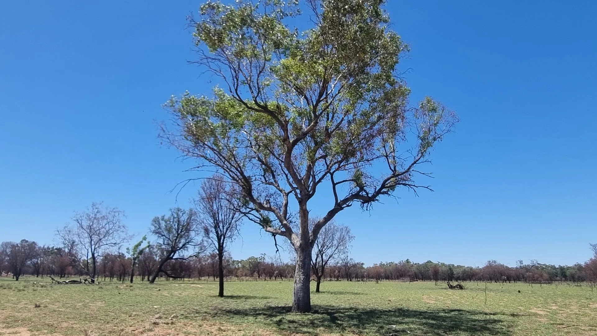 Additional image 4 of 202-410 Wallal Street, Bakers Bend QLD 4470