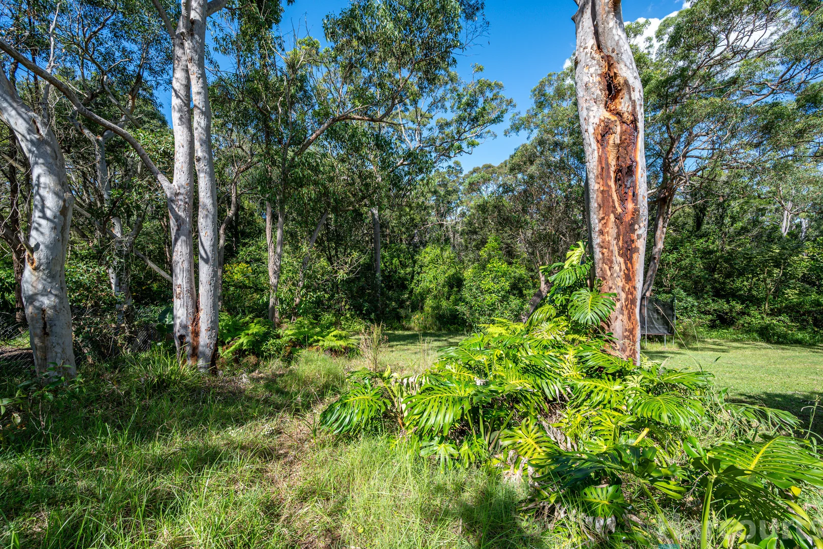 Additional image 17 of 32 Fishery Point Road, Mirrabooka NSW 2264