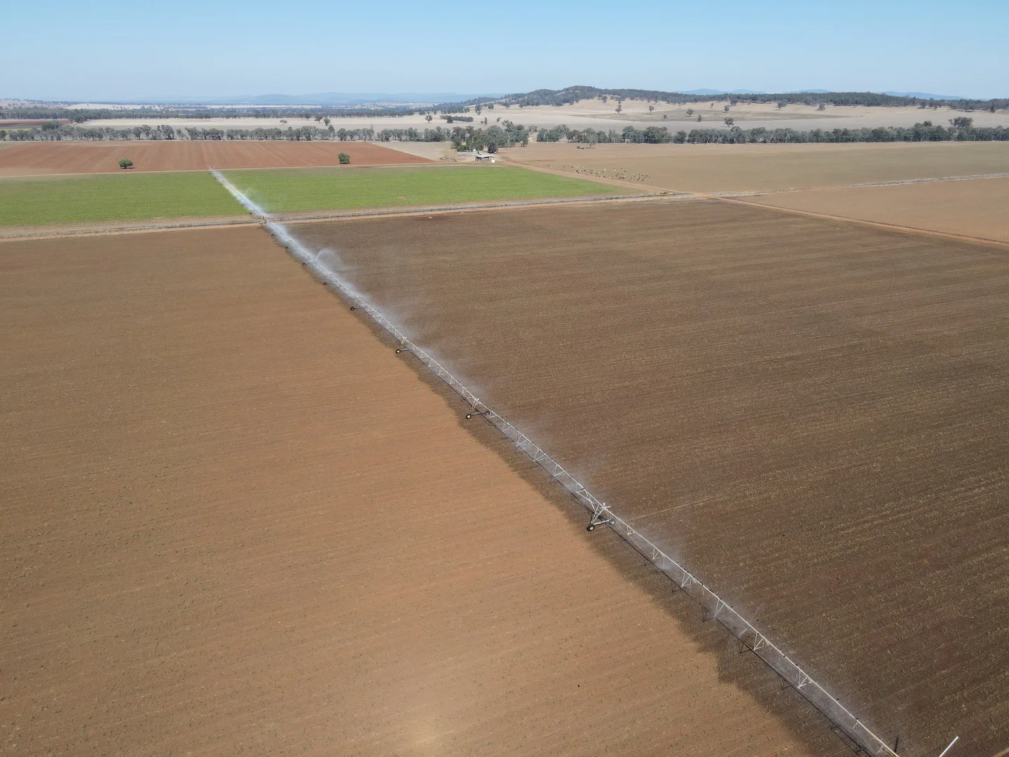 Additional image 8 of 448 Nangar Road, Canowindra NSW 2804