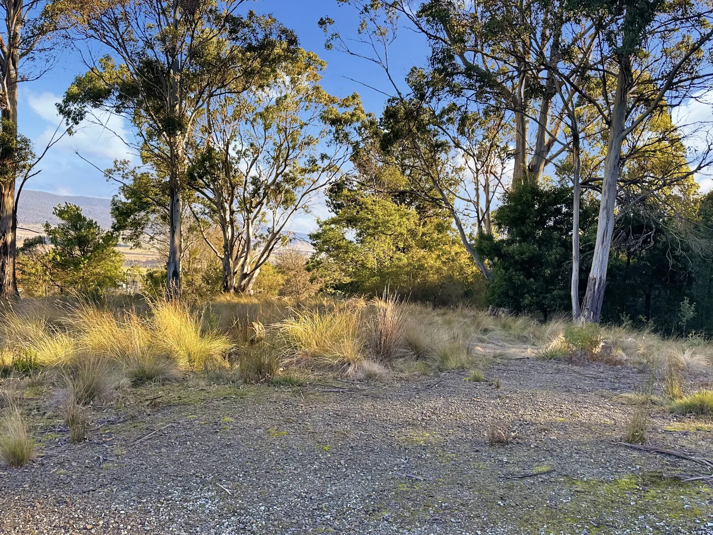 Additional image 8 of 14 Crosby Street, Cornwall TAS 7215