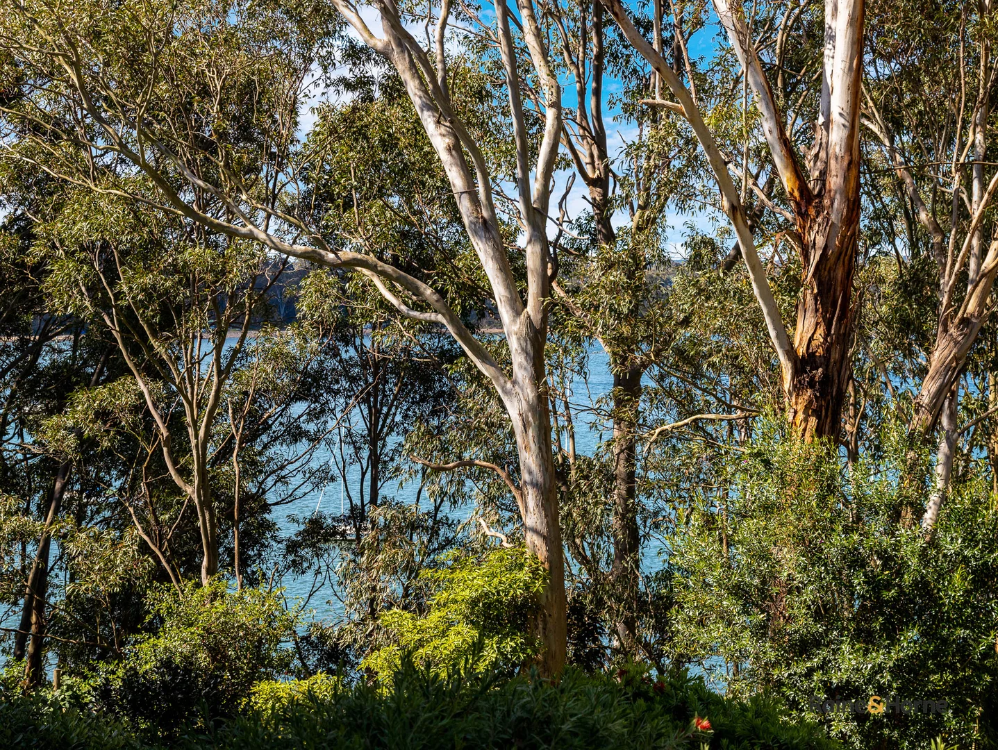 Additional image 23 of 15/11 High Street, Batemans Bay NSW 2536