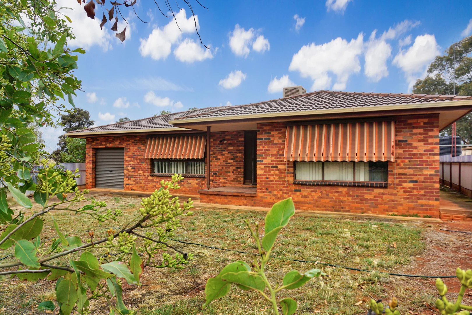 Additional image 8 of 'Werona' 904 North Yalgogrin Road, Tallimba NSW 2669