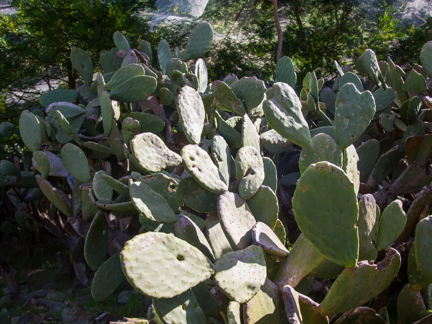 Additional image 19 of 170 Wattle Flats Road, Canyonleigh NSW 2577