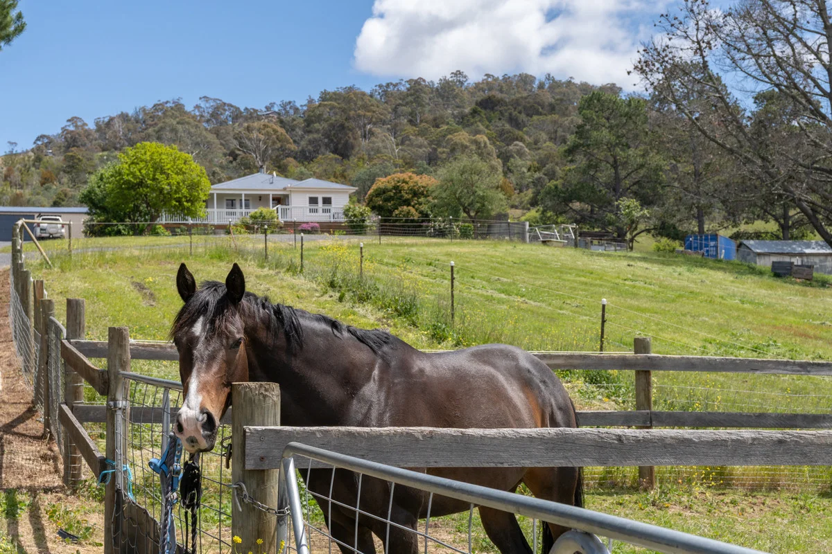 Additional image 31 of 15 Gangells Lane, Bagdad TAS 7030