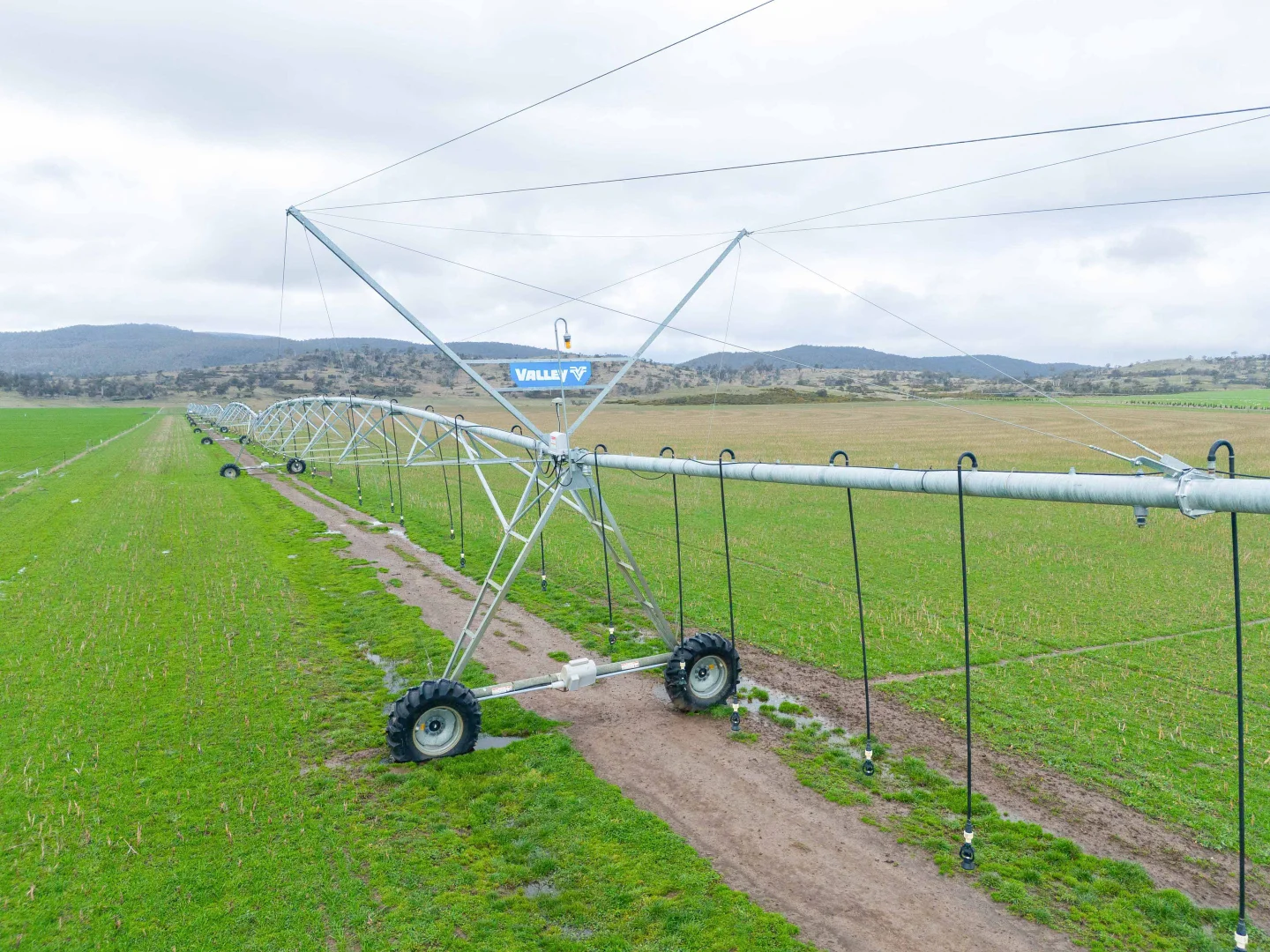 Additional image 4 of Evandale TAS 7212