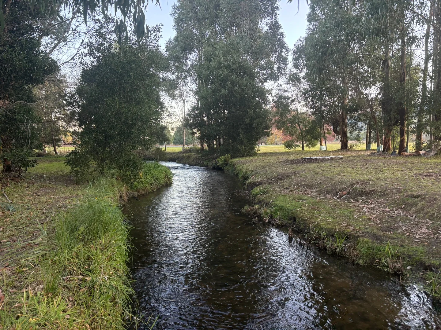 Additional image 6 of 15 Waters Place, Buxton VIC 3711