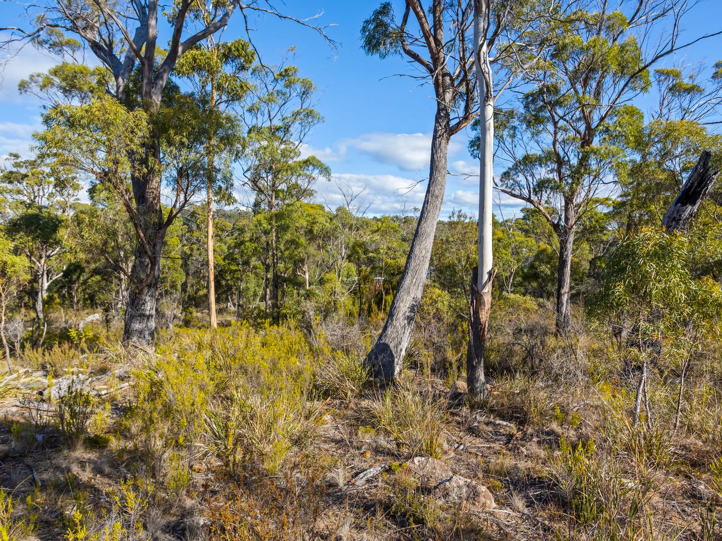 Additional image 20 of 4017 Arthur Highway, Murdunna TAS 7178