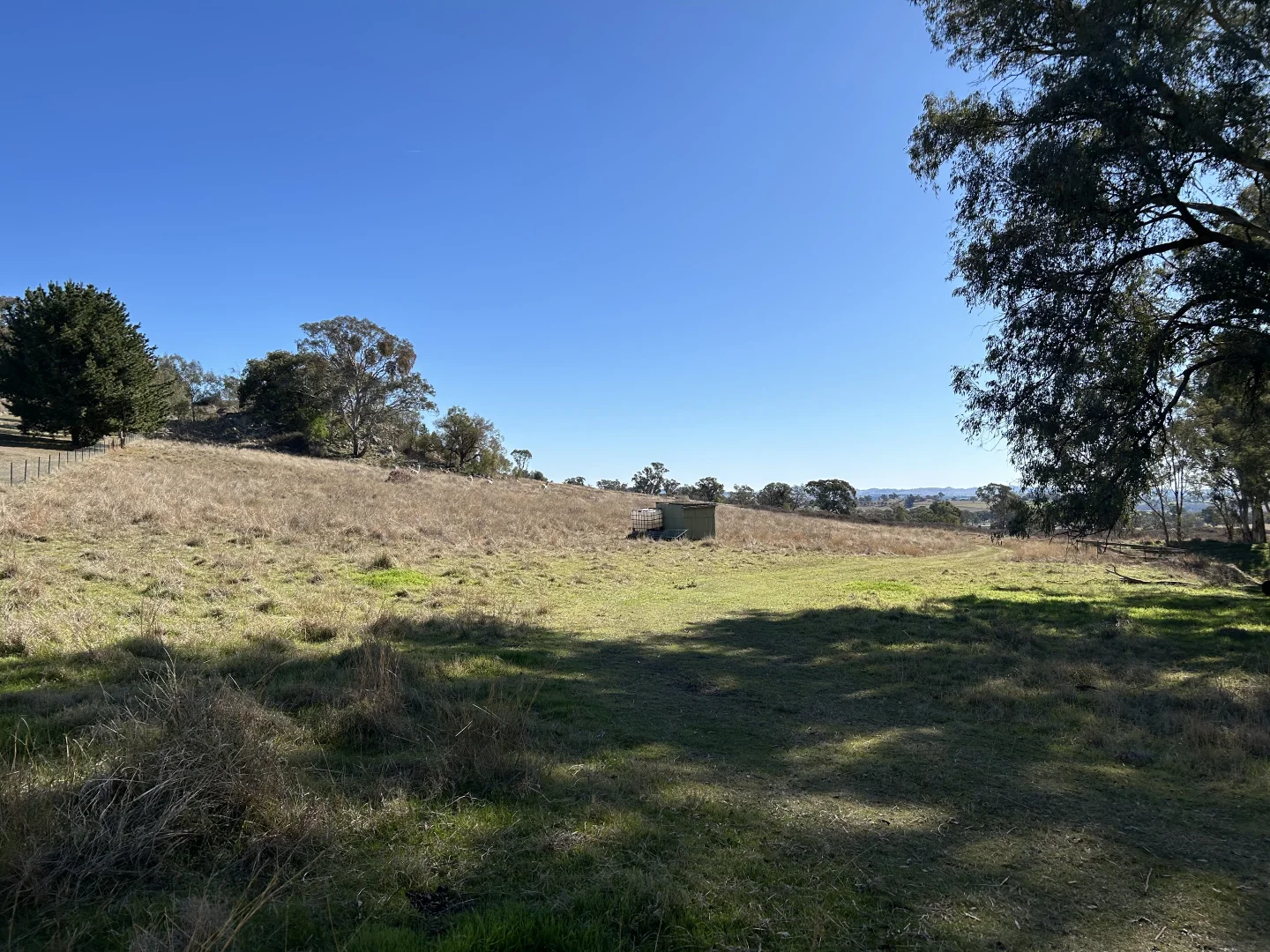 Additional image 21 of 1174 Pine Mount Road, Woodstock NSW 2793