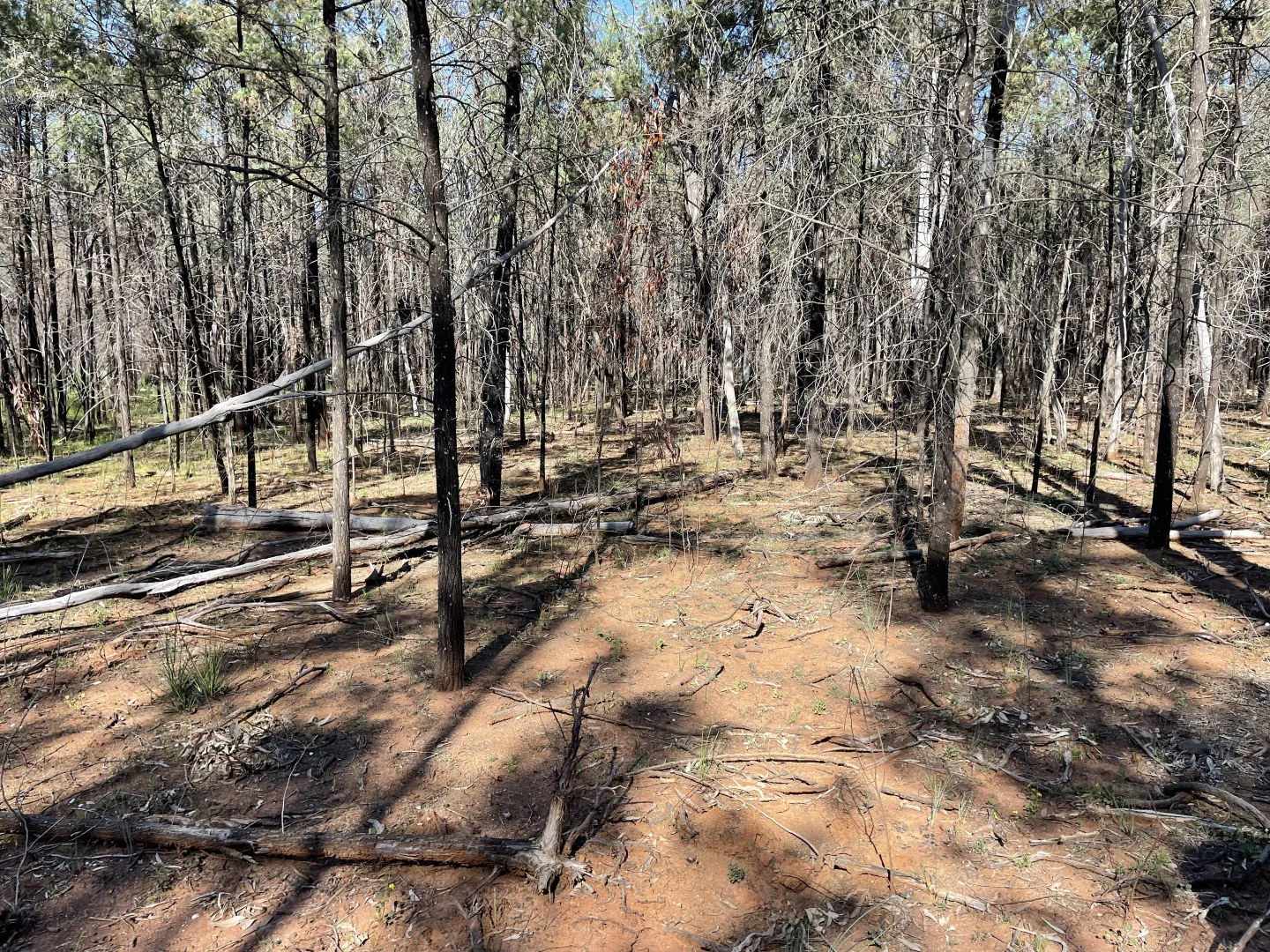 Additional image 6 of 921 Westport Rd, Narrabri NSW 2390