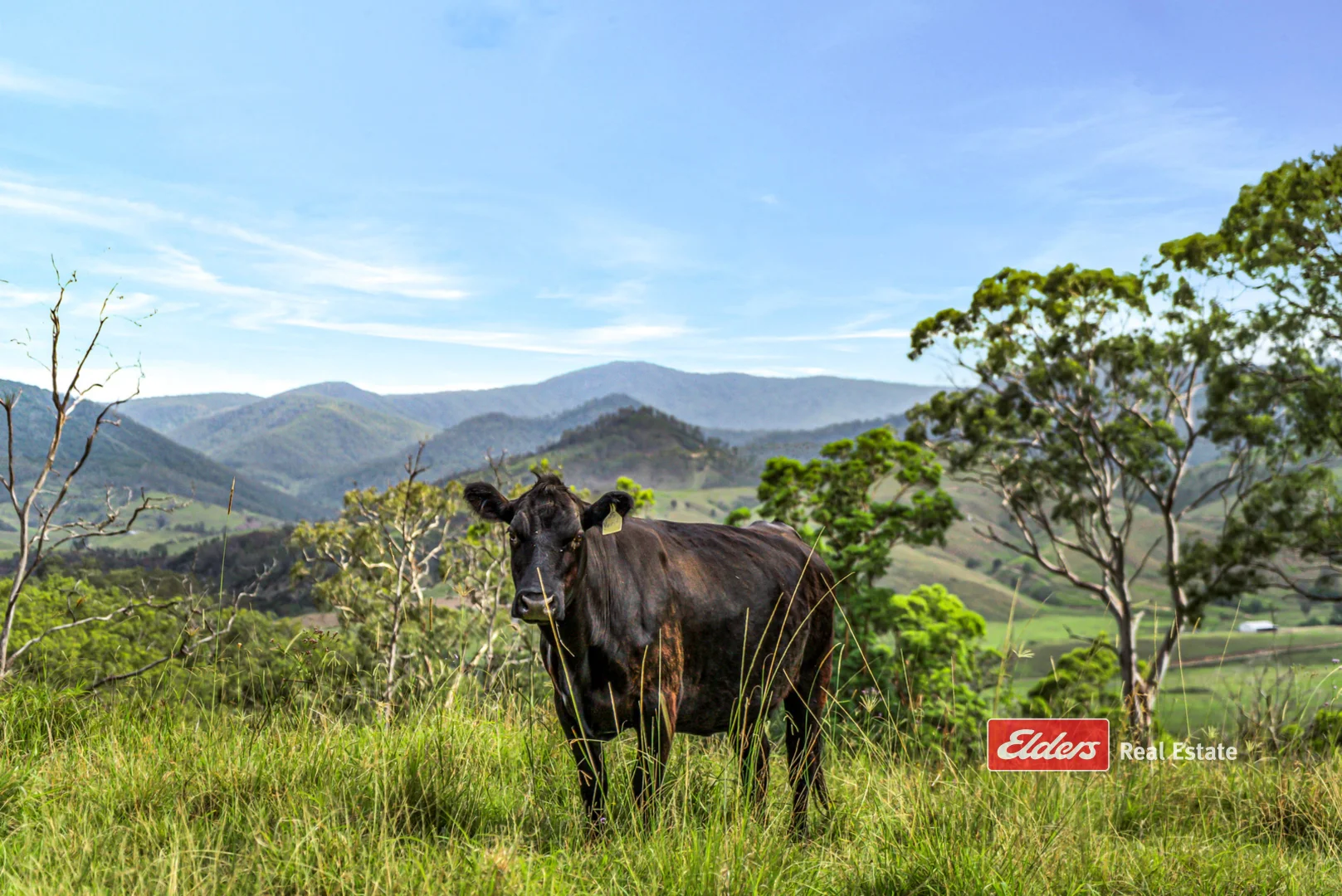 Additional image 9 of 3756a Thunderbolts Way, Bretti NSW 2422