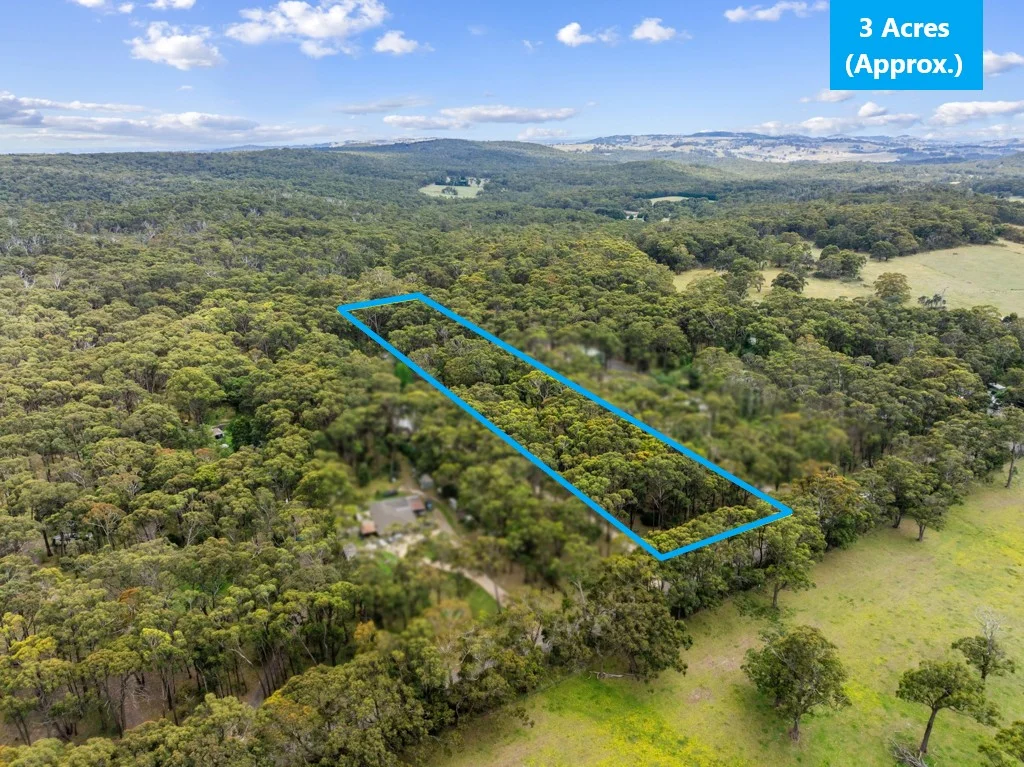 Additional image 4 of 93 Feeneys Lane, Benloch VIC 3435