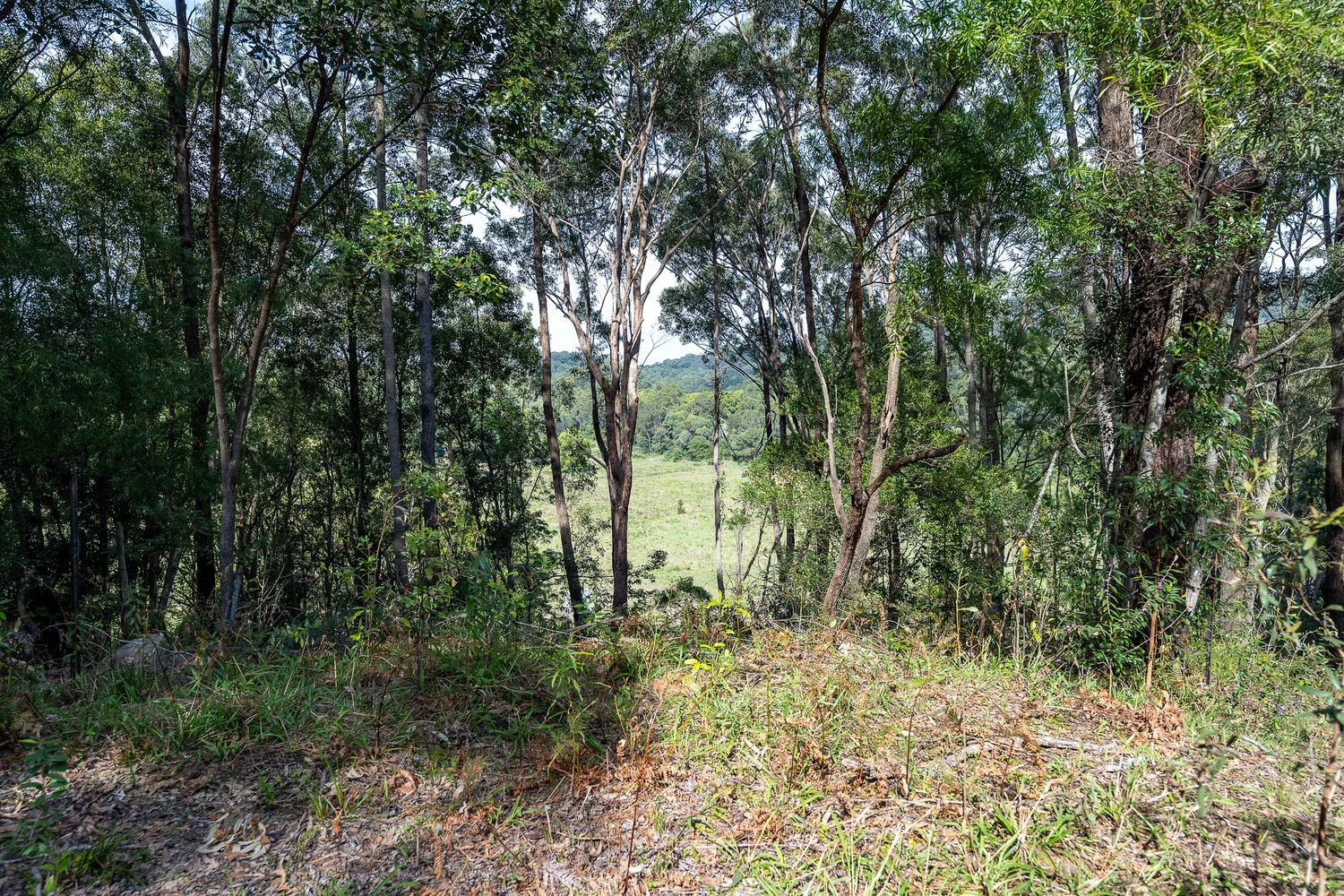 Additional image 12 of 38 Wooyung Road, Wooyung NSW 2483
