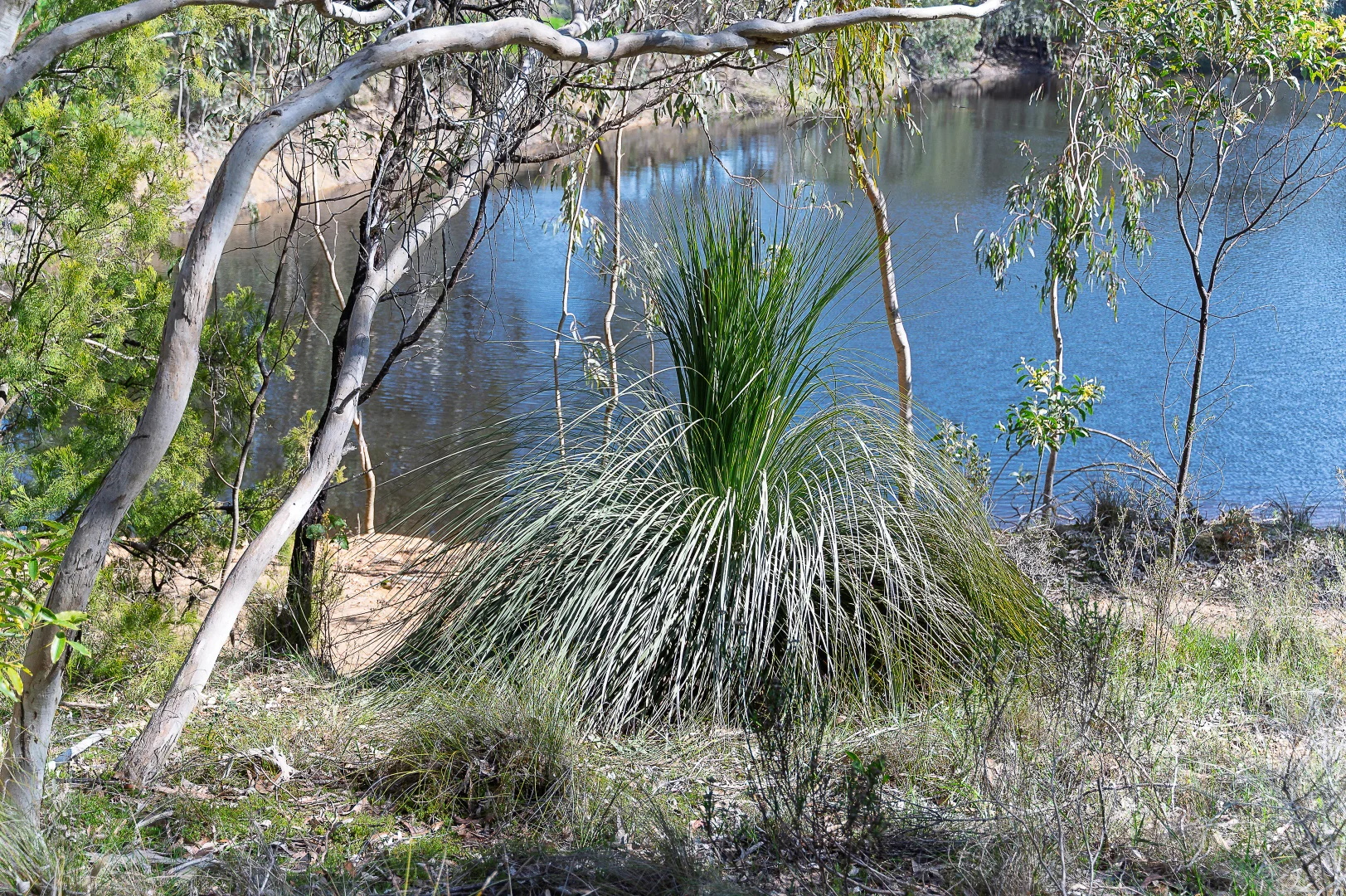 Additional image 17 of Lot 201 Tiers Road, Lenswood SA 5240