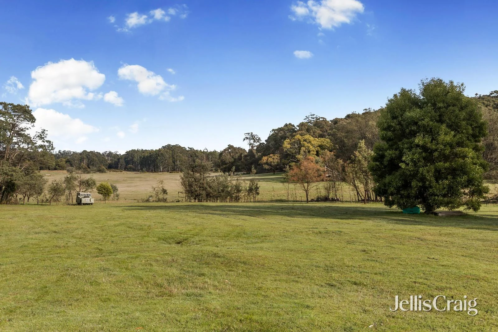 Additional image 12 of 85 Lightwood Drive, Wheatsheaf VIC 3461