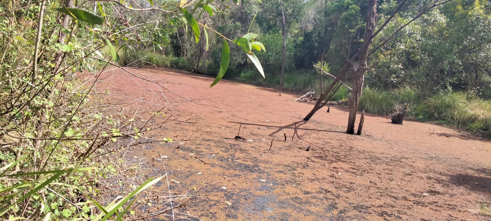 Additional image 6 of 3359 Lowmead Road, Lowmead QLD 4676