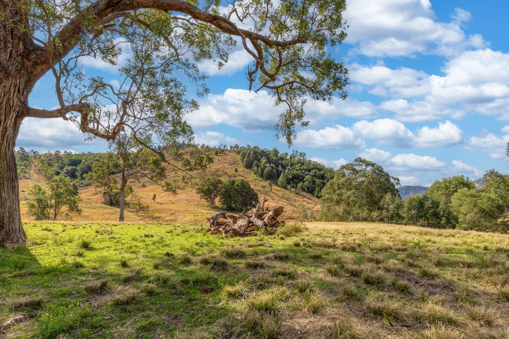 Additional image 5 of Lots/34 & 158 Salisbury Road, Dungog NSW 2420