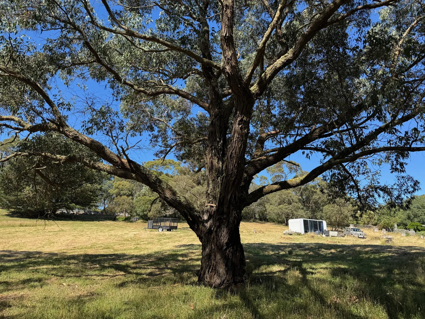 Additional image 6 of 575 Deans Marsh Lorne Road, Deans Marsh VIC 3235