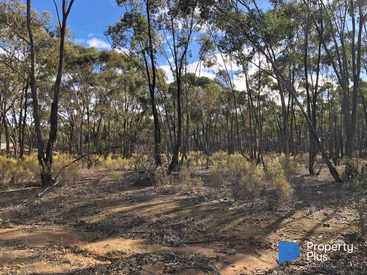 Additional image 9 of 59 Palmer Road, Simson VIC 3465