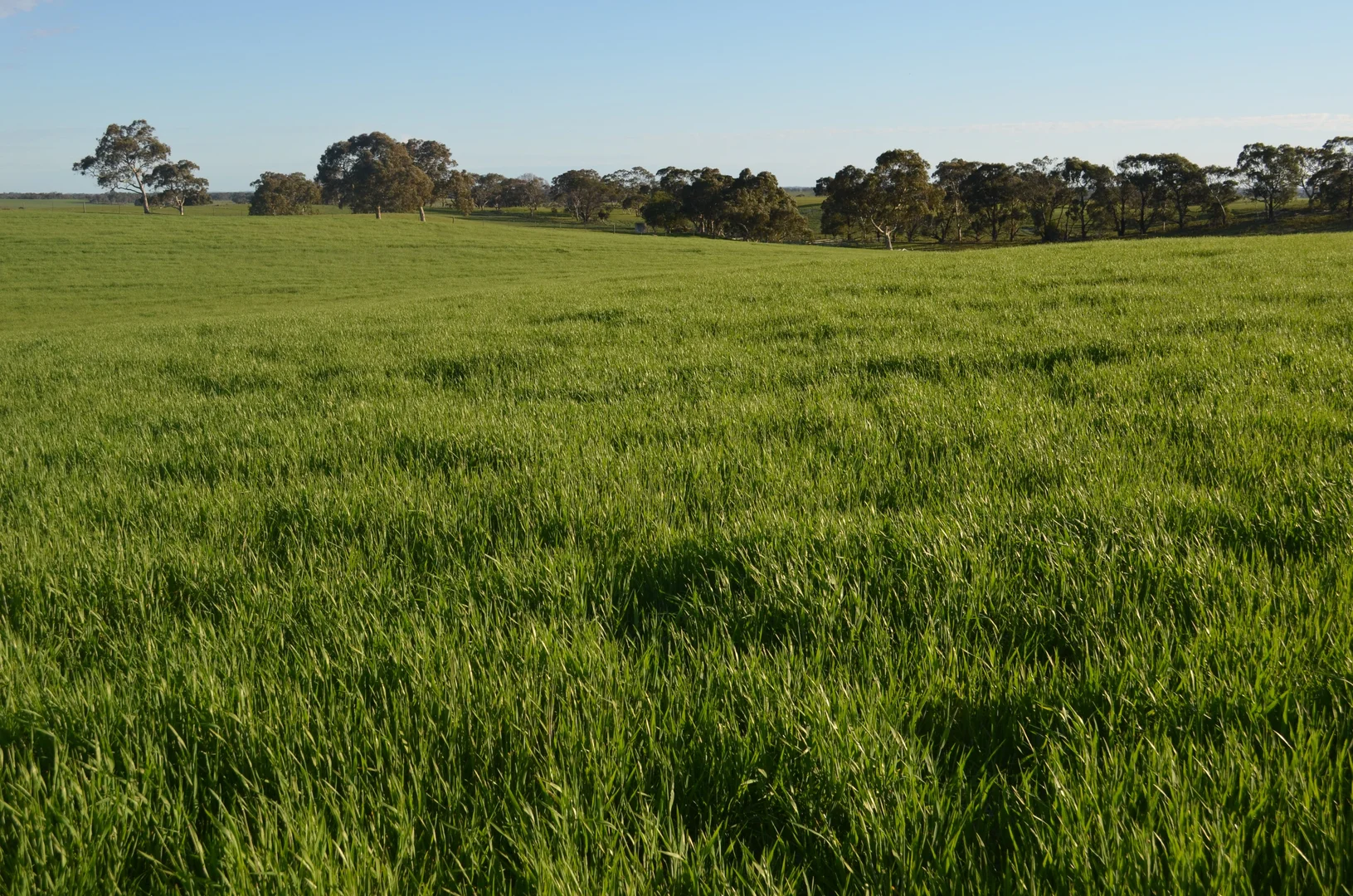 Additional image 5 of Lot 296 Beggs Road, Avenue Range SA 5273