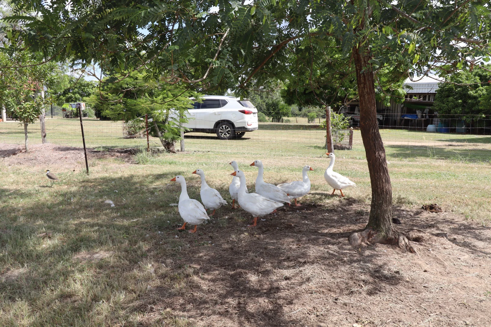 Additional image 30 of 122 Longs Road, Bucca QLD 4670