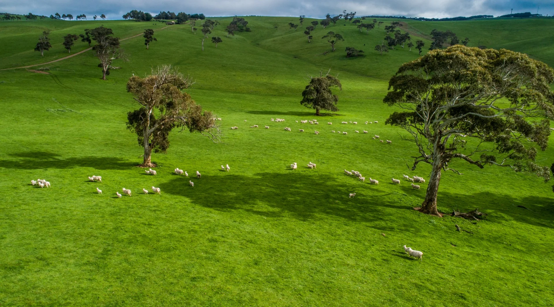 Additional image 5 of Old Sellicks Hill Road, Sellicks Hill SA 5174