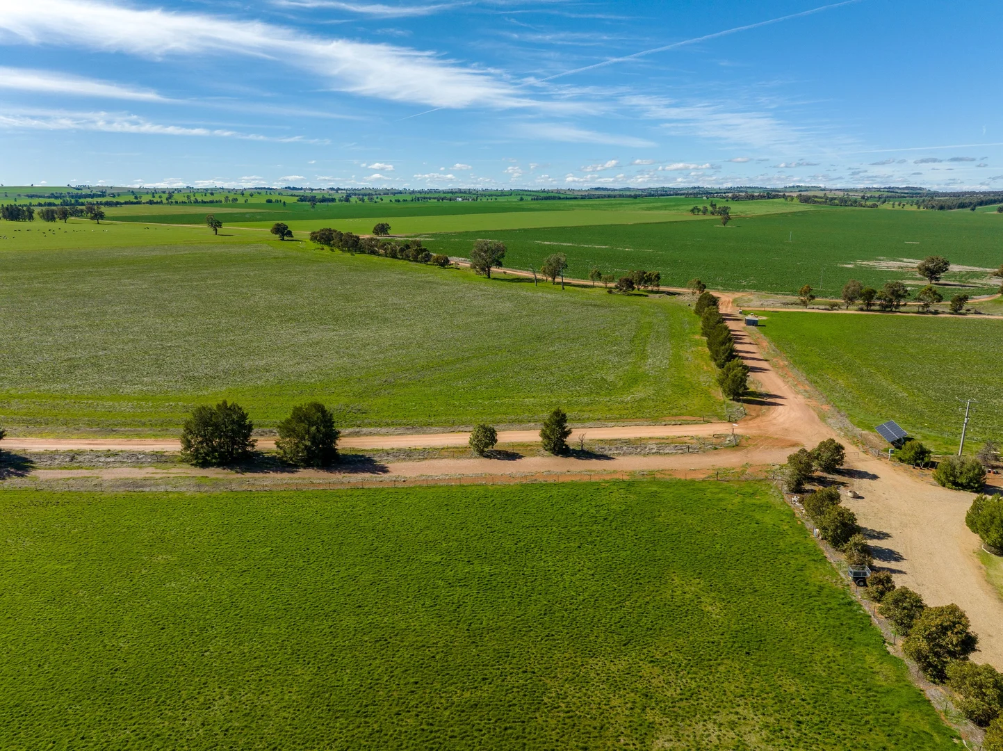 Additional image 22 of 2214 Coolamon Road, Coolamon NSW 2701