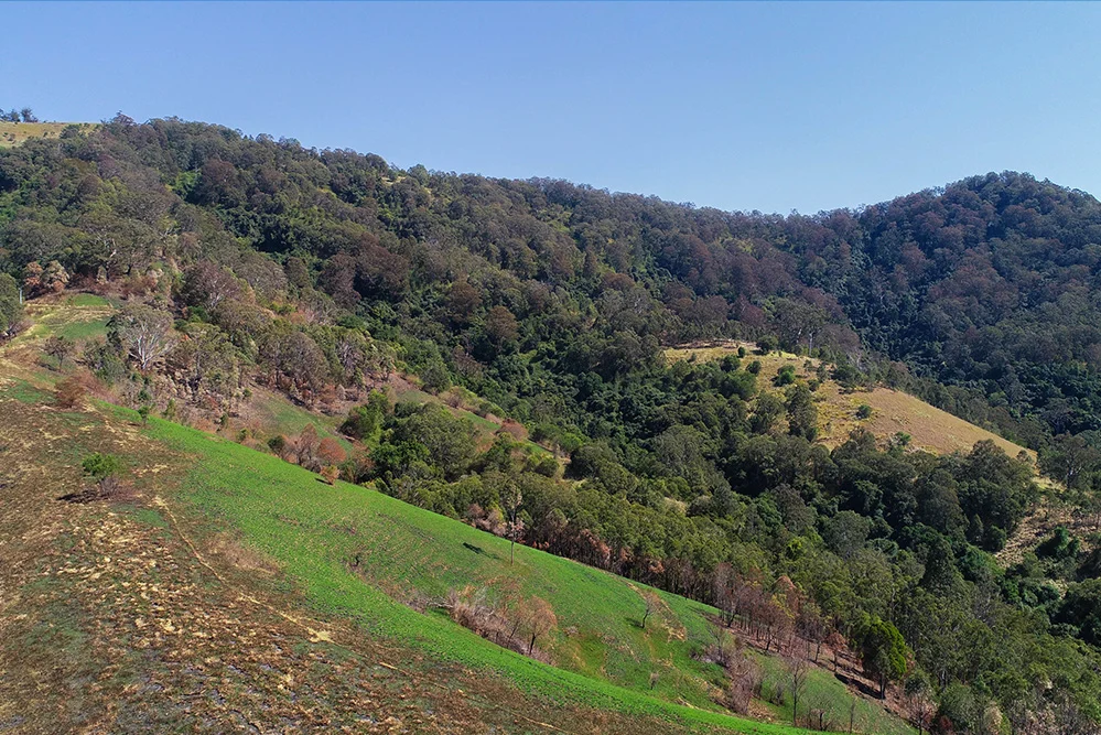 Additional image 4 of Lot A, 25 & 109 Allyn River Road, Halton NSW 2311