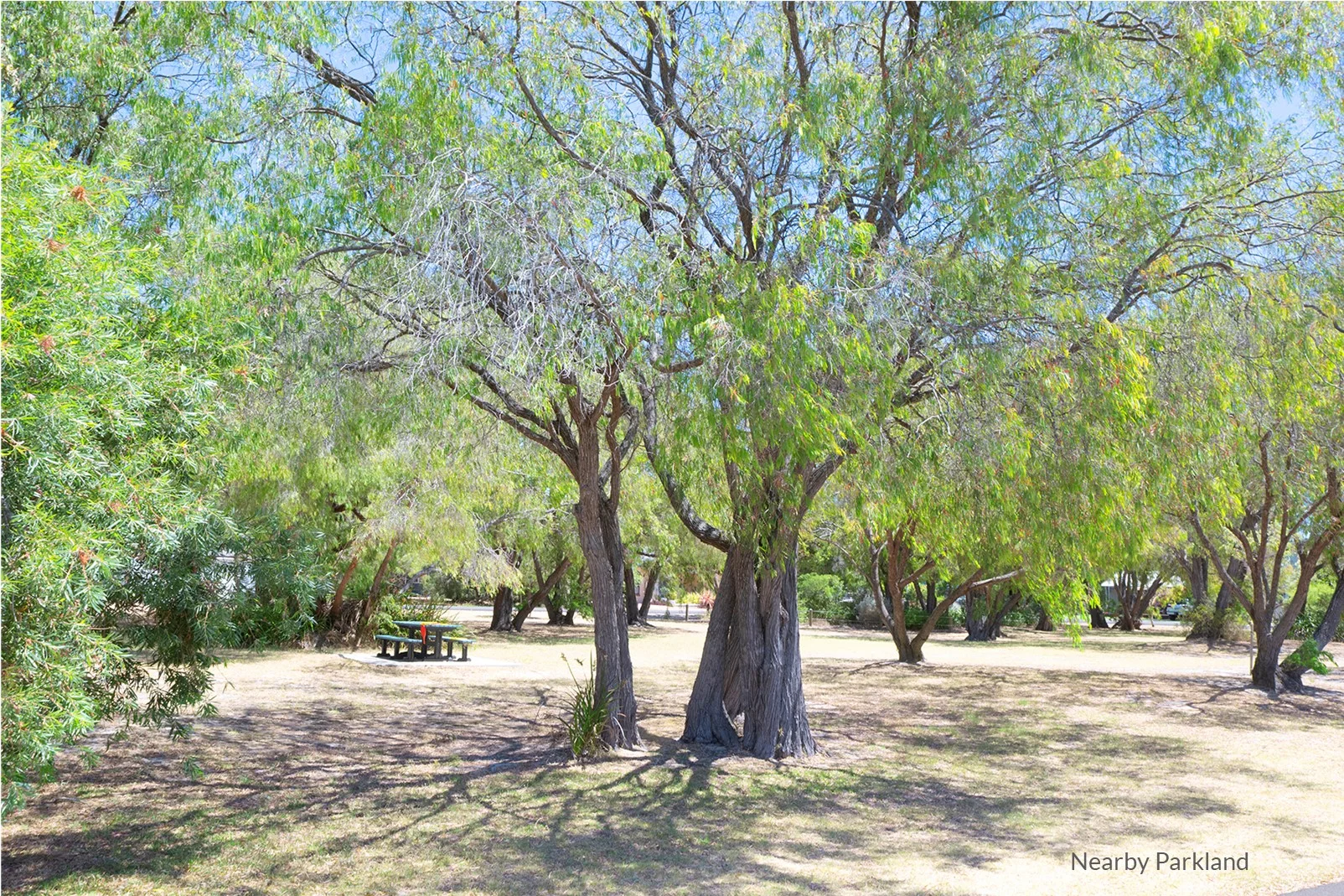 Additional image 21 of 6 Karinga Road, Abbey WA 6280