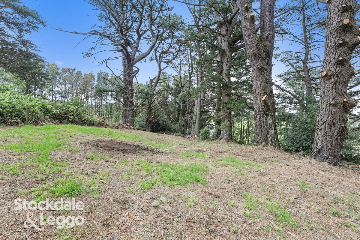 Additional image 2 of 1455 Grand Ridge Road, Trida VIC 3953