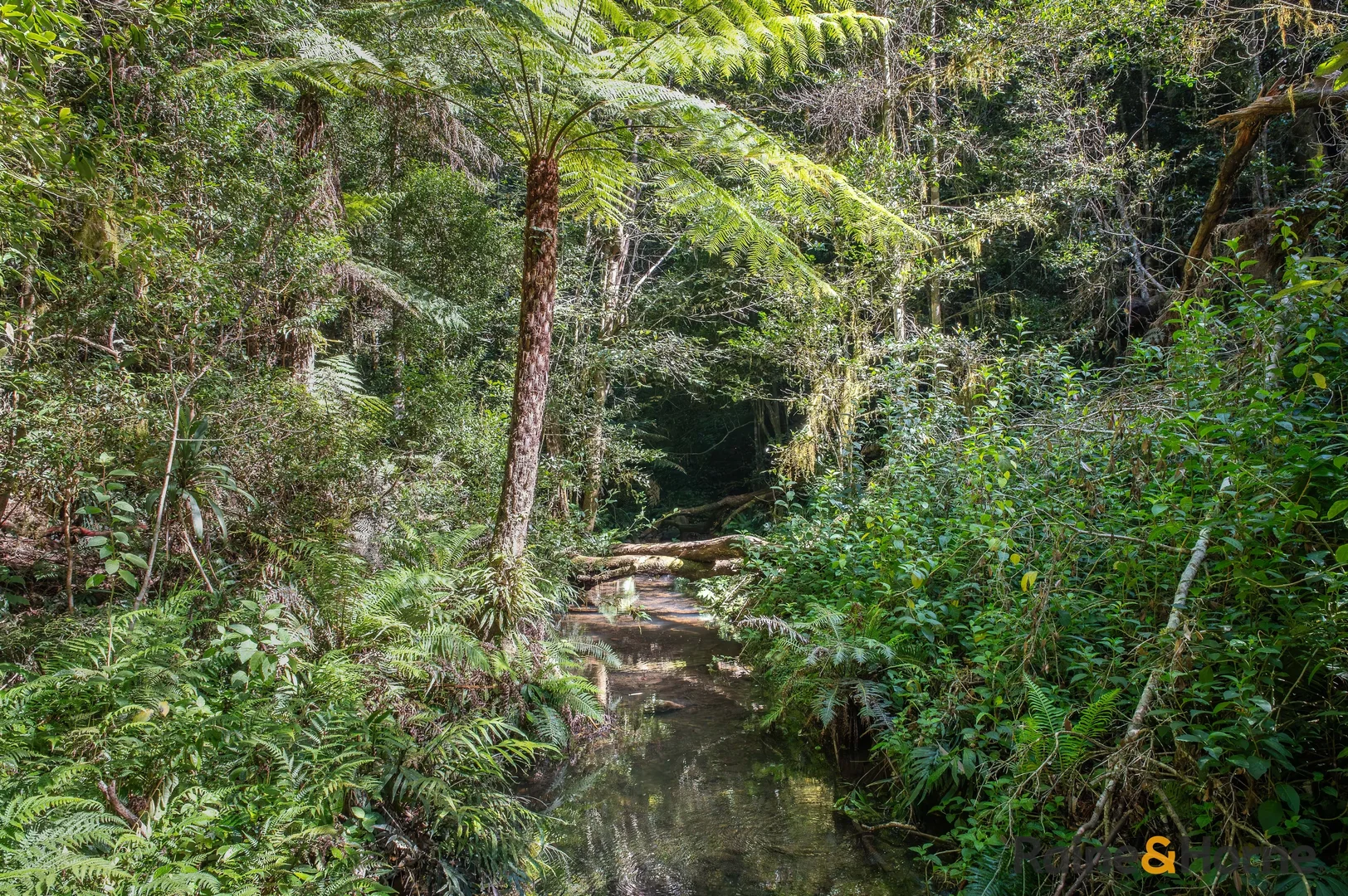 Additional image 26 of 1691 Coramba Road, Megan NSW 2453