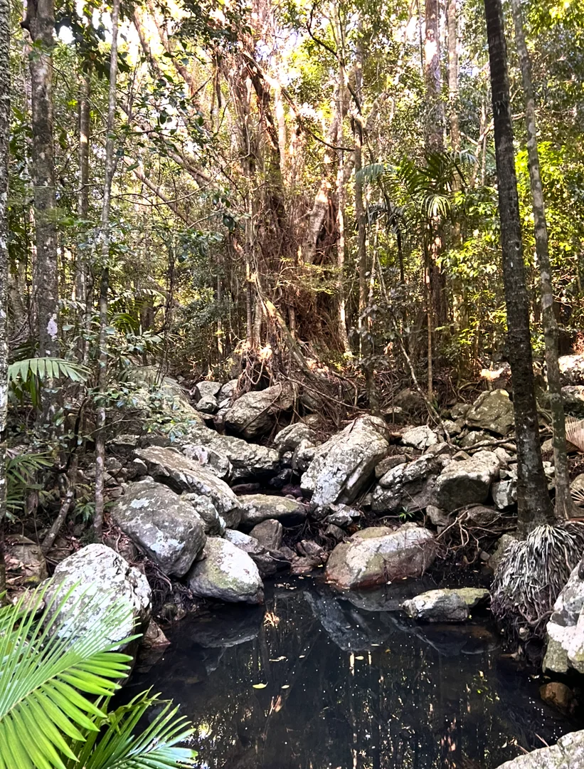 Additional image 3 of Mount Jukes QLD 4740