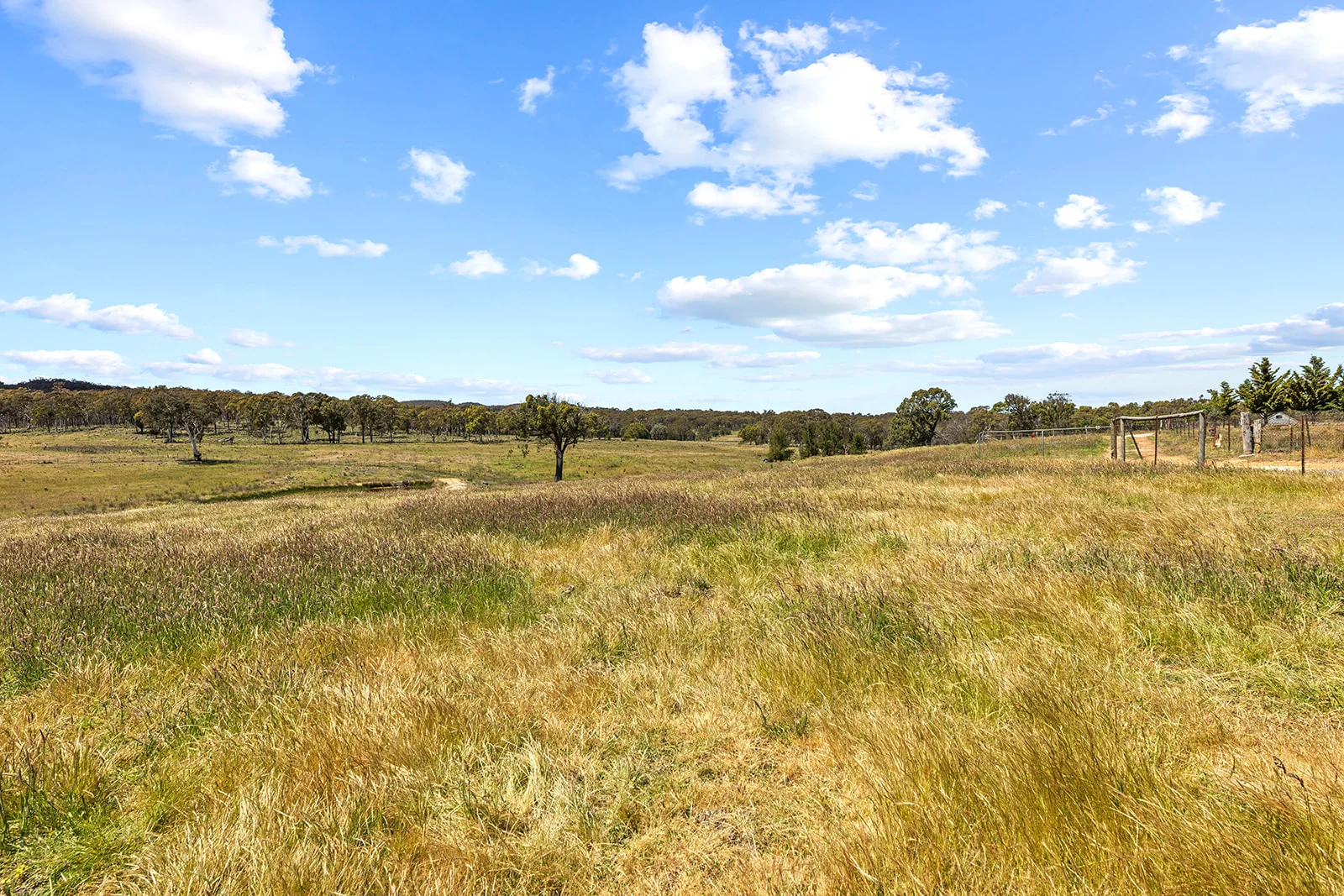 Additional image 24 of 5716 Gundaroo Road, Bellmount Forest NSW 2581