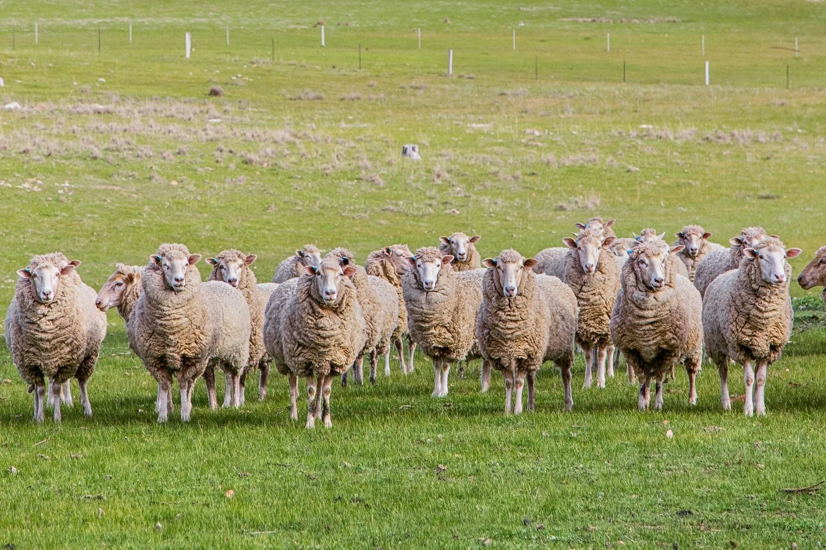 Additional image 6 of Parcels A & B Heathcote-Springs Plains & Wild Duck Roads, Mia Mia VIC 3444