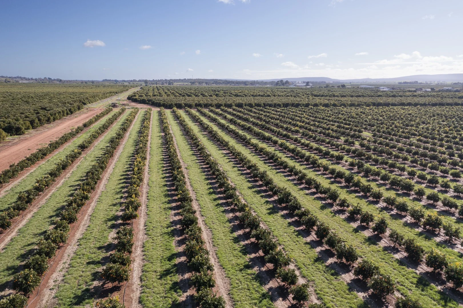 Additional image 5 of 203 Payten Road, Corbie Hill NSW 2705