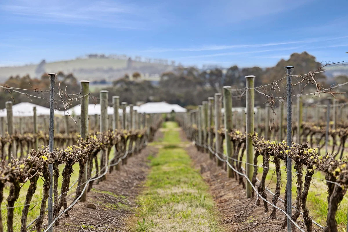 Additional image 3 of 125 Larcombes Road, Modewarre VIC 3240