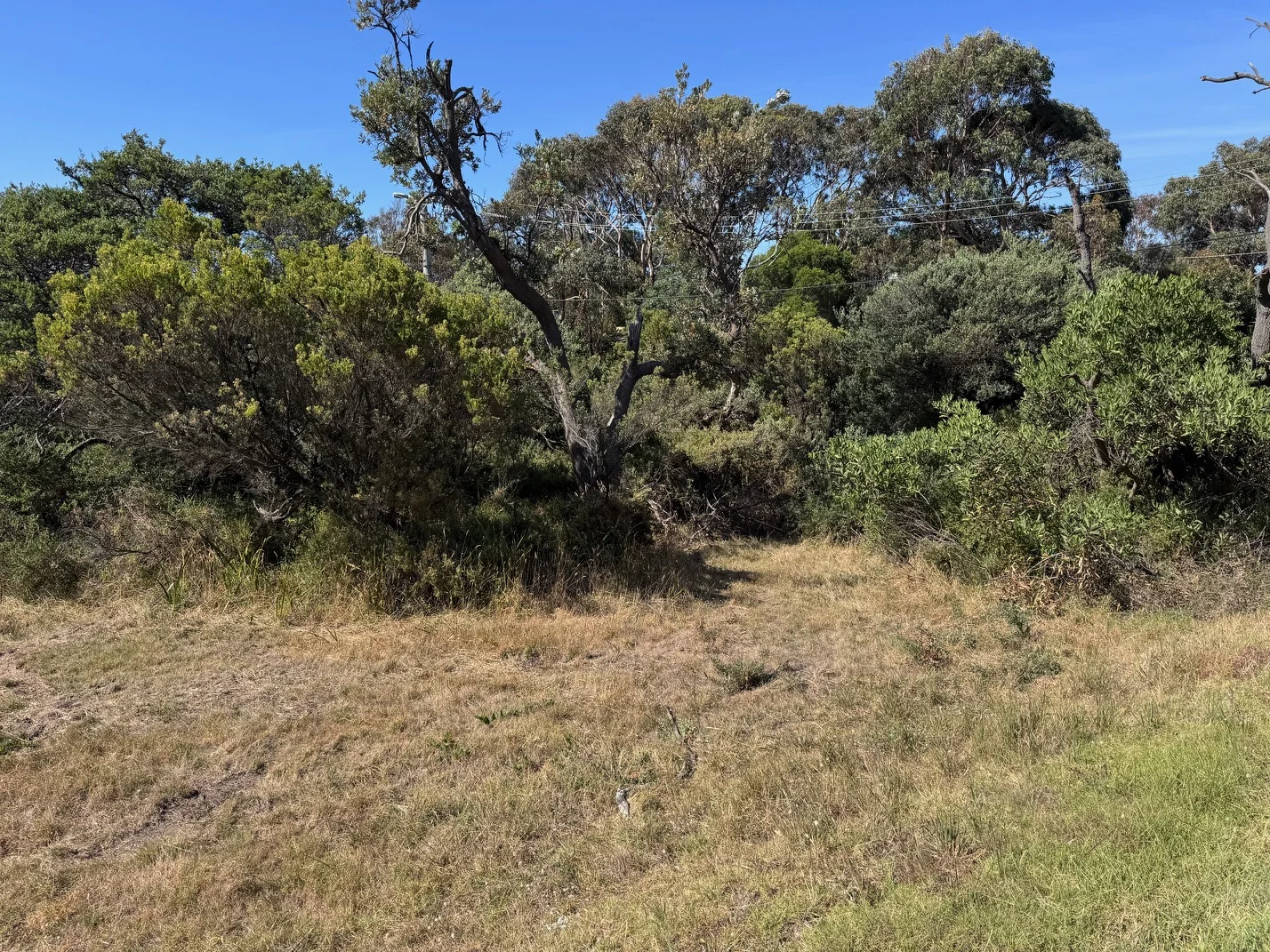 Additional image 5 of 17 St Ives Crescent, Venus Bay VIC 3956