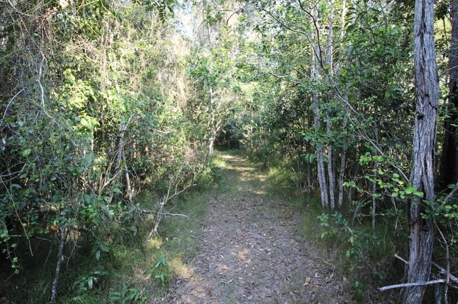 Additional image 35 of 684 Taunton Road, Taunton QLD 4674