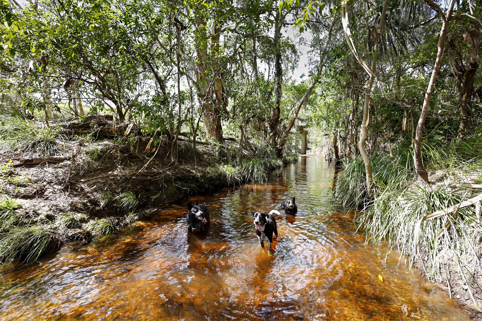 Additional image 41 of 14755 Bruce Highway, Gregory River QLD 4800