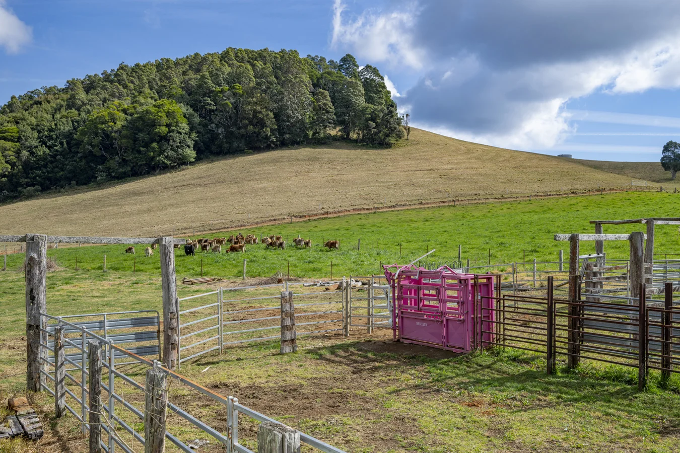 Additional image 17 of 1431 Coramba Road, Dorrigo NSW 2453
