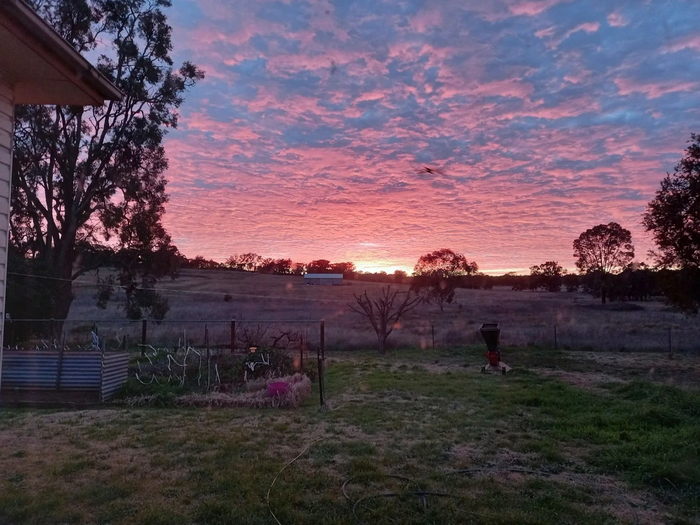 Additional image 15 of 325 Toorawandi Road, Ulamambri NSW 2357