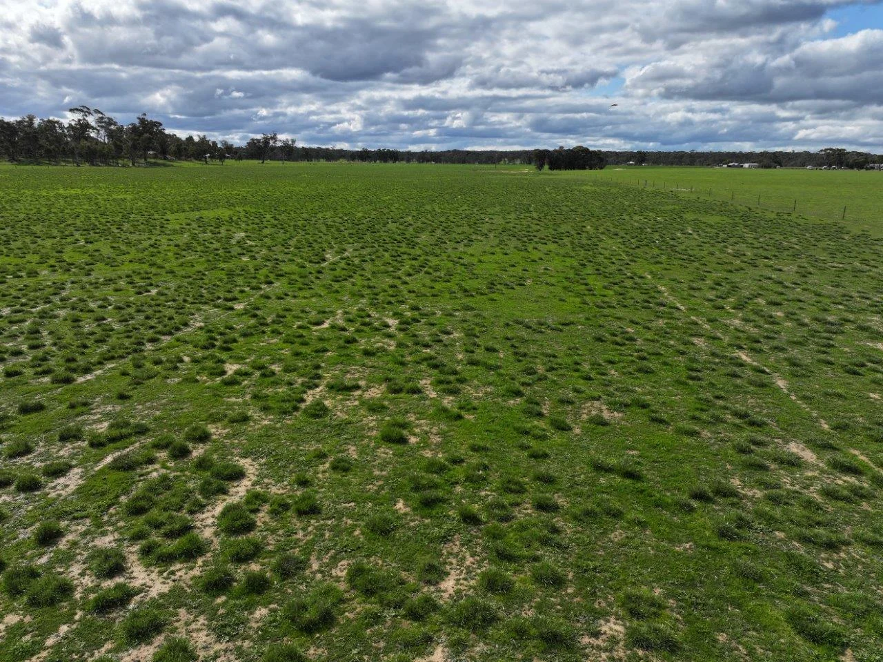 Additional image 8 of 457 Scenic Road, Eddington VIC 3472